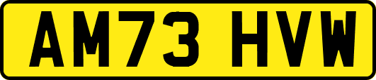 AM73HVW