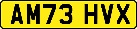 AM73HVX