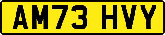 AM73HVY
