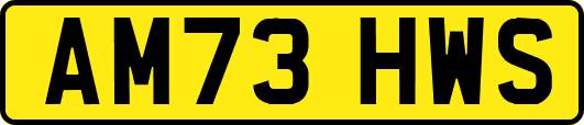 AM73HWS