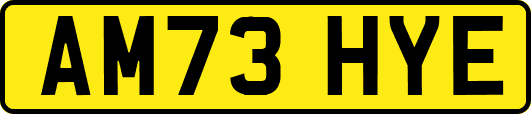 AM73HYE