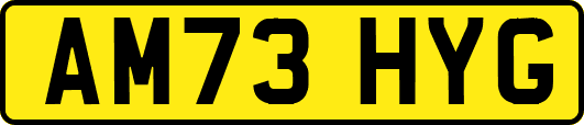 AM73HYG