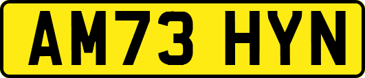 AM73HYN