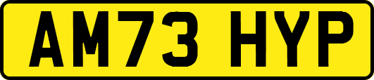 AM73HYP