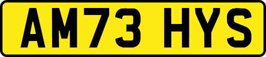 AM73HYS
