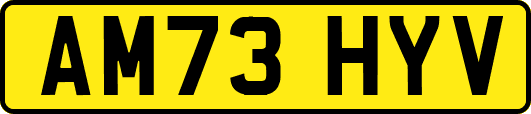AM73HYV