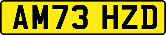 AM73HZD