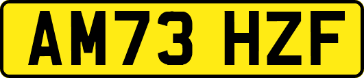 AM73HZF