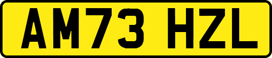 AM73HZL