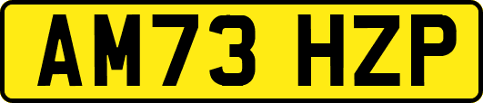 AM73HZP