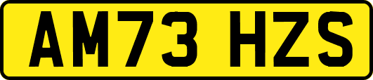 AM73HZS