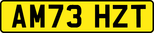 AM73HZT
