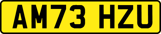AM73HZU