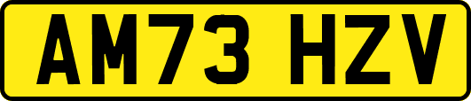 AM73HZV