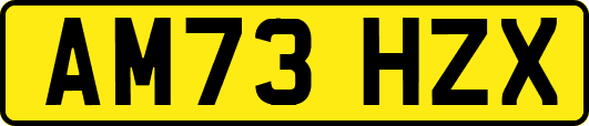 AM73HZX