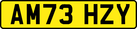 AM73HZY