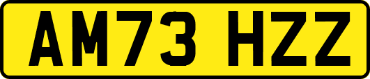 AM73HZZ