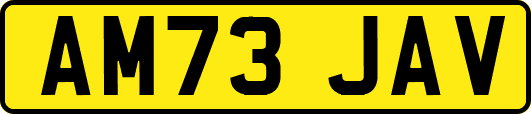 AM73JAV