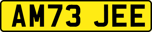 AM73JEE