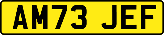 AM73JEF