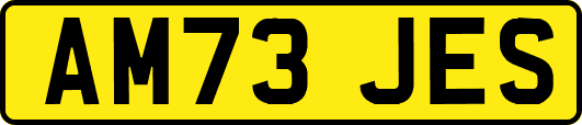AM73JES
