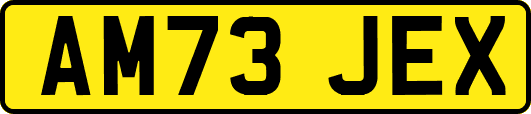 AM73JEX
