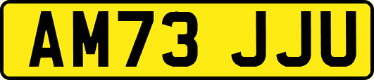 AM73JJU