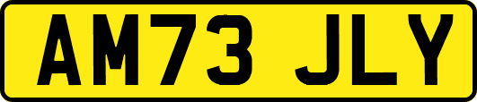 AM73JLY