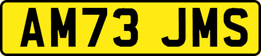 AM73JMS