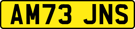 AM73JNS