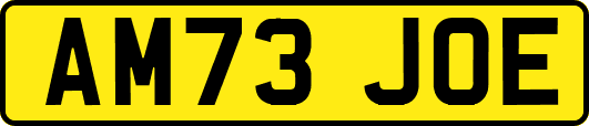 AM73JOE