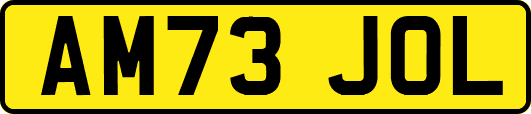 AM73JOL