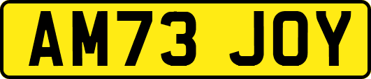AM73JOY