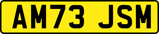 AM73JSM