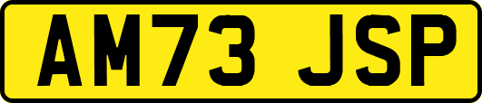AM73JSP