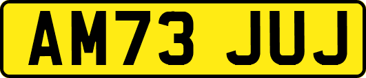AM73JUJ