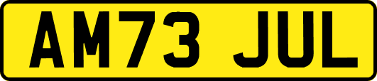 AM73JUL
