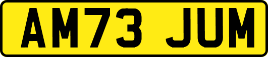 AM73JUM