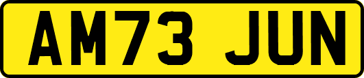 AM73JUN