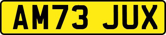 AM73JUX
