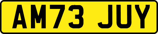 AM73JUY