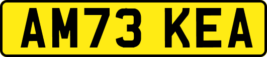 AM73KEA