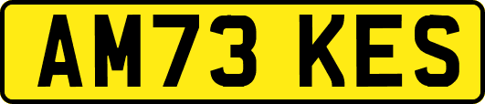 AM73KES