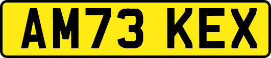 AM73KEX