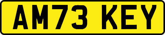 AM73KEY