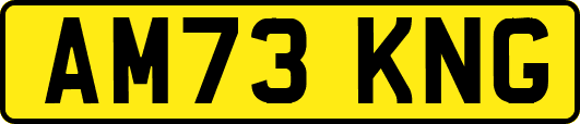AM73KNG