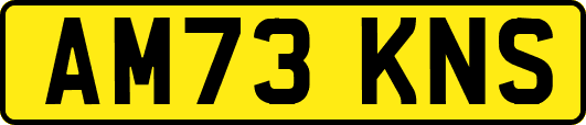 AM73KNS