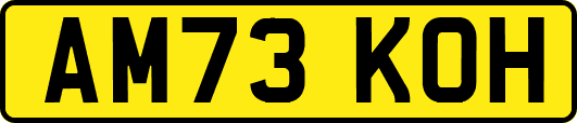AM73KOH