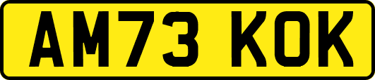 AM73KOK