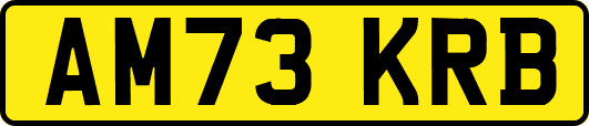 AM73KRB